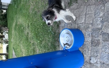 IMG_5506.jpeg