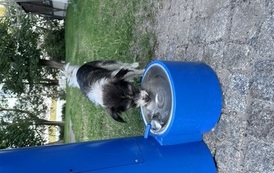 IMG_5508.jpeg