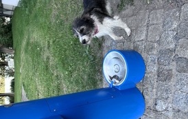IMG_5506.jpeg